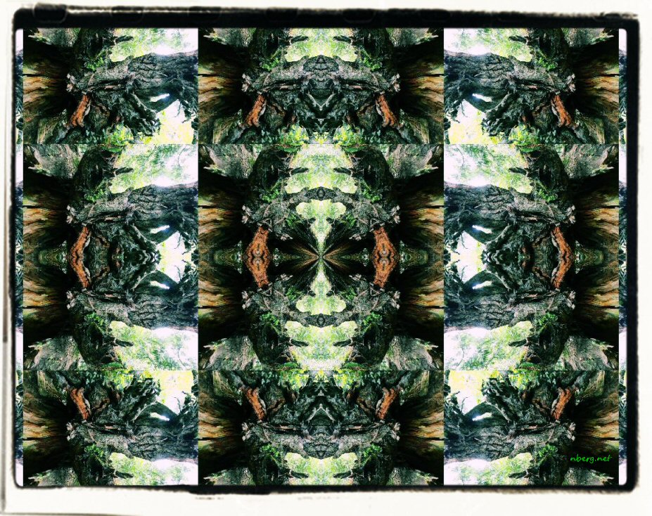 Heritage Deep Forest Stump Mandala