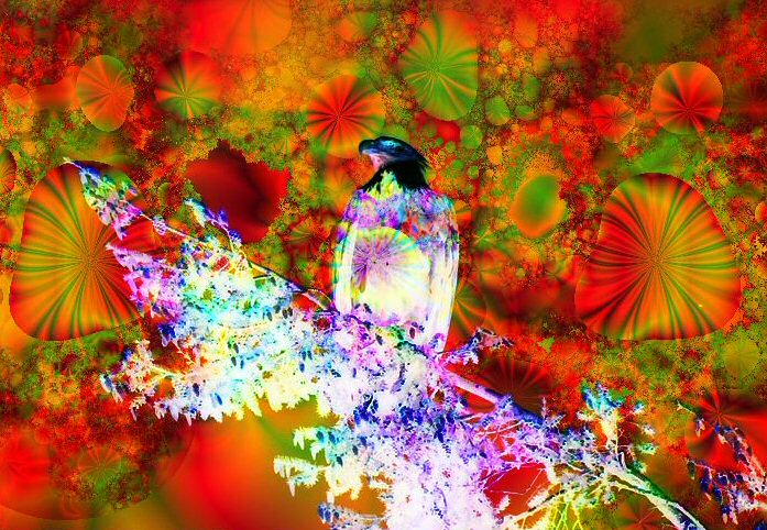Eagle psychedelic
