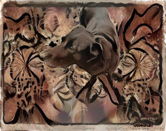 Dog Cave Paint Deep Dream