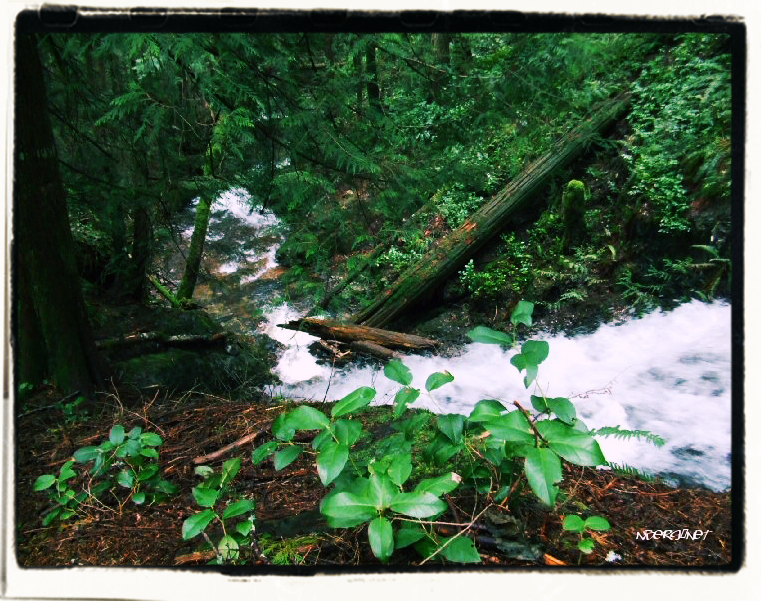 Chaster Falls Inception Deep Dream
