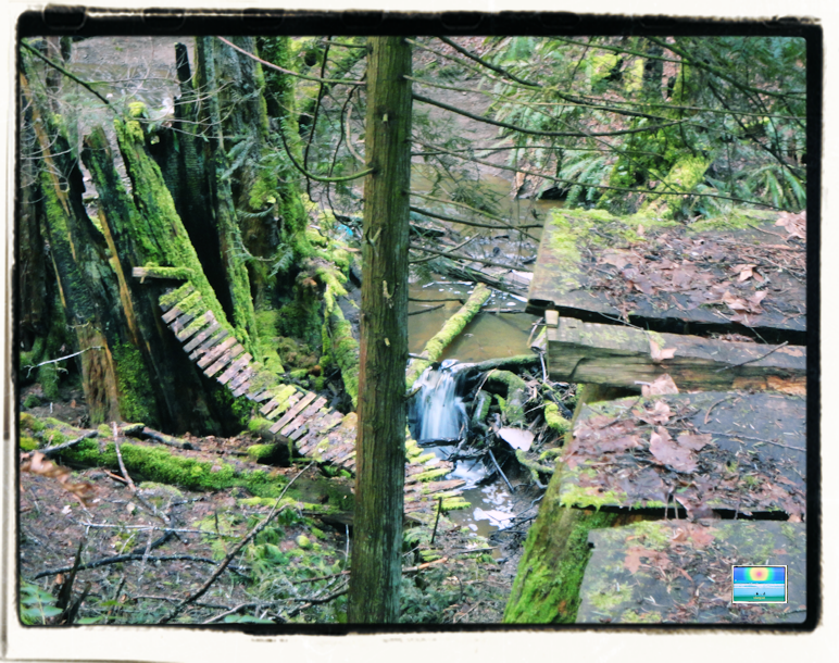 Shelly Creek Adventures in Nature