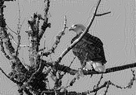 Eagle charcoal deepdream