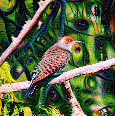 Flicker botanical deep dream