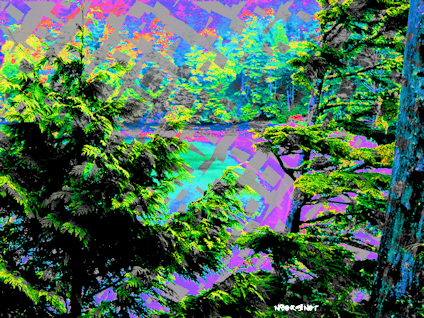 Terrace Beach love psychedelic