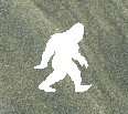 squatch beach